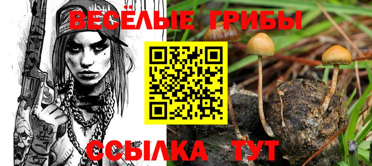 Псилоцибиновые грибы MAGIC MUSHROOMS Приморско-Ахтарск