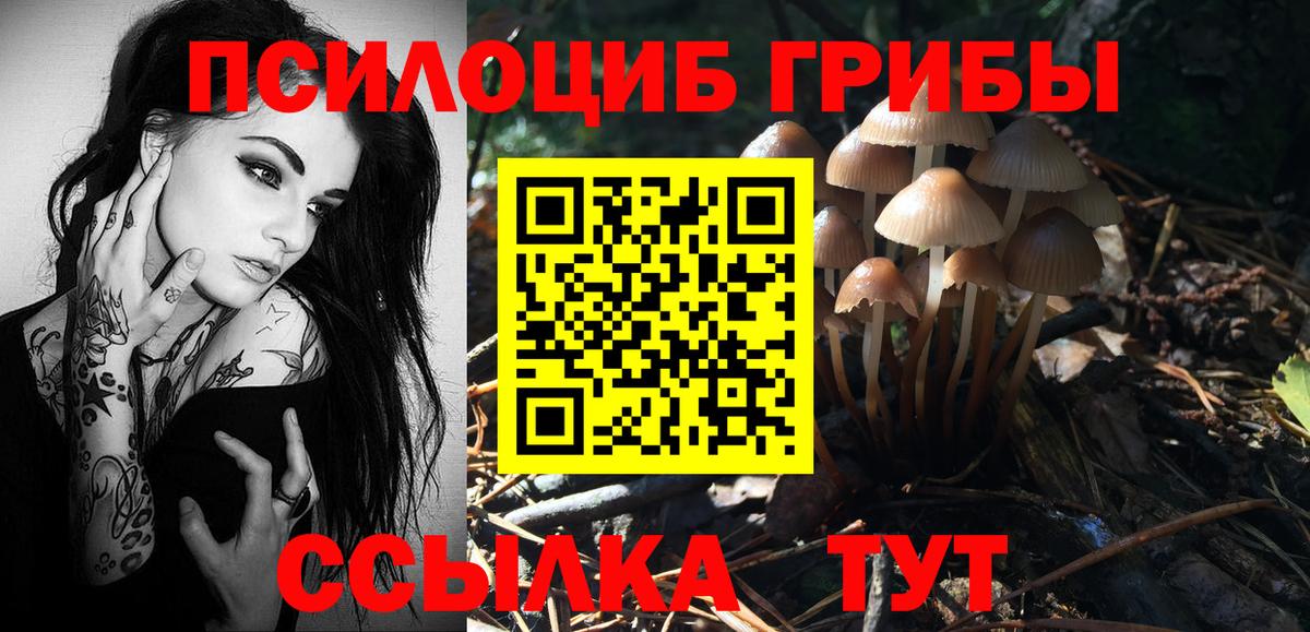 Приморско-Ахтарск  что такое   Вход с VPN  Псилоцибиновые грибы мухоморы 